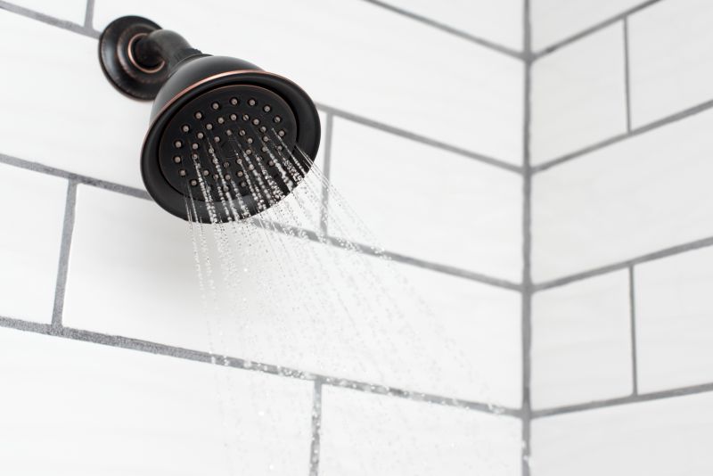 Shower Head Varieties